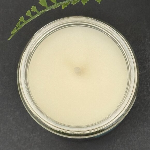 BBW Freshwater Bath & Body Works Mason Jar Single Wick Candle - Picture 7 of 10